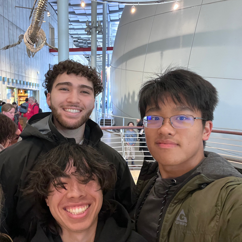 Ap research andrea struve